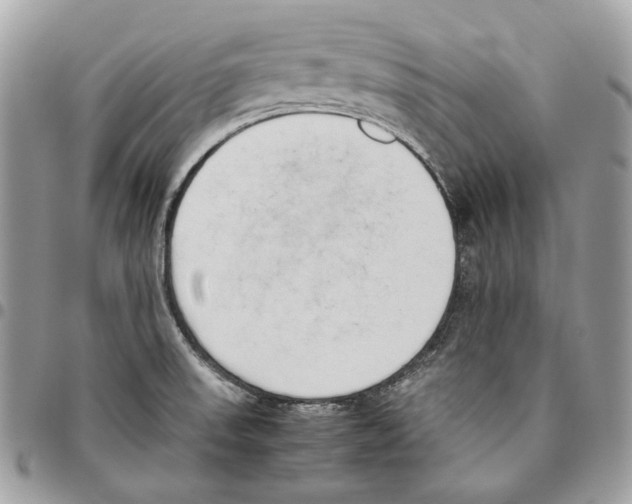 X0000095891523200802081106