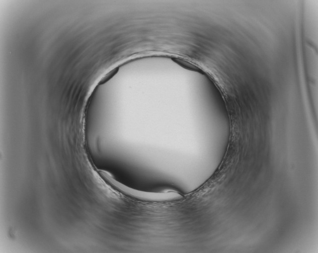 X0000095891524200802081106