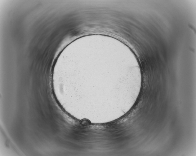 X0000095891525200802081106