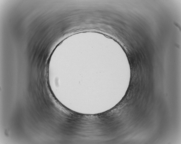 X0000095891526200802081106