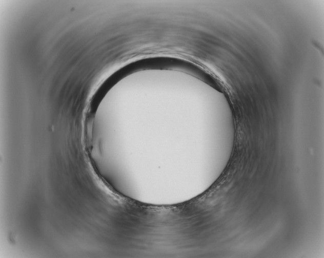 X0000095891528200802081106