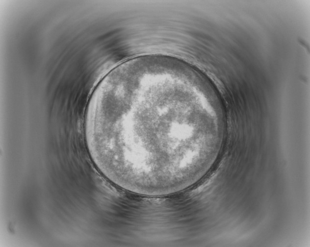 X0000095891529200802081106