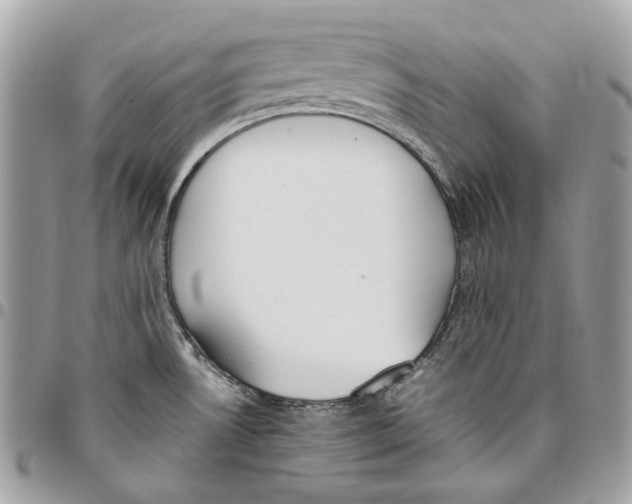 X0000095891530200802081106