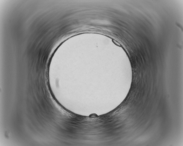 X0000095891531200802081106