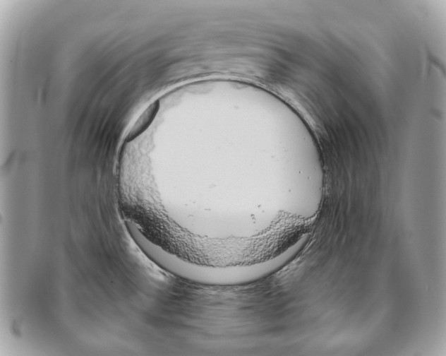 X0000095891532200802081106