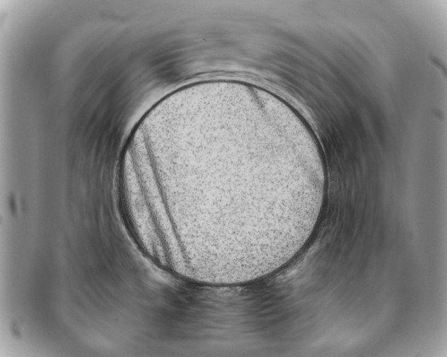 X0000095891533200802081106