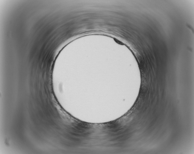 X0000095891534200802081106