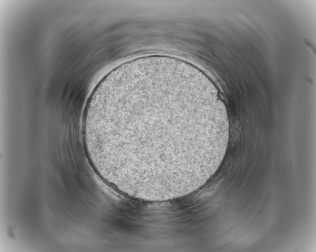 X0000095891535200802081106