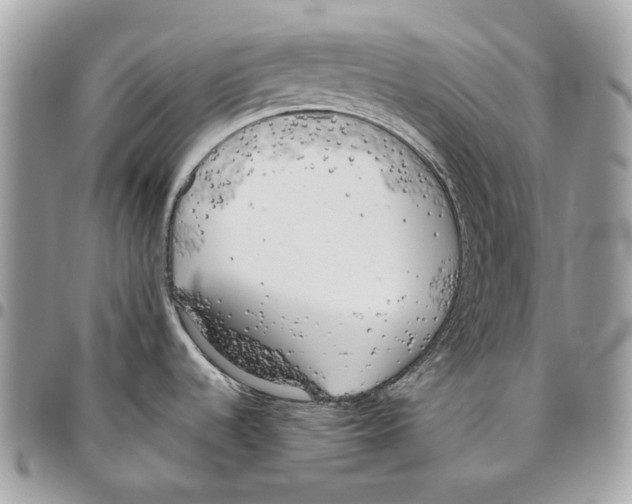 X0000095891536200802081106