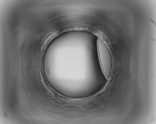 X0000095900001200801110815