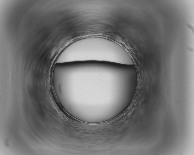 X0000095900002200801110815