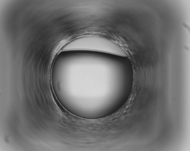 X0000095900003200801110815