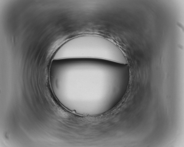 X0000095900005200801110815