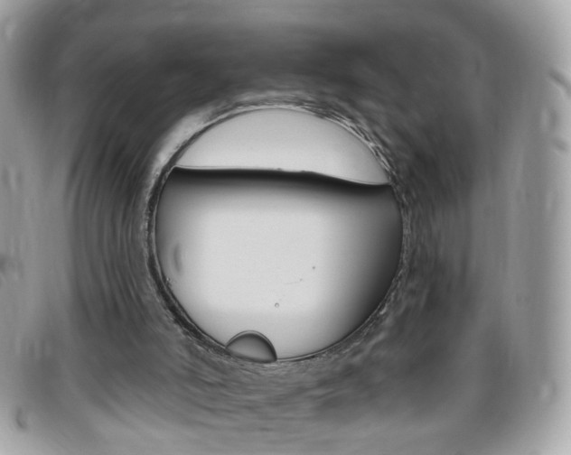 X0000095900006200801110815