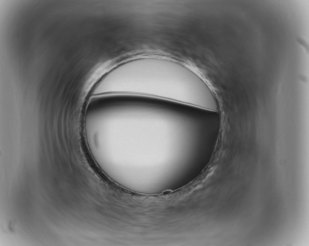 X0000095900007200801110815