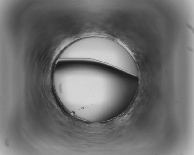 X0000095900008200801110815