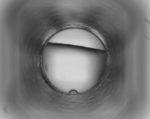 X0000095900010200801110815
