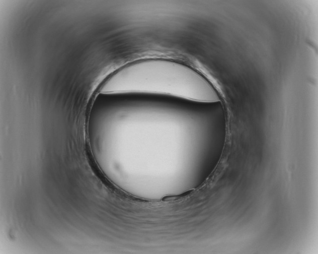 X0000095900011200801110815