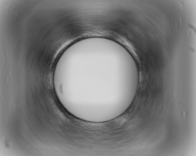 X0000095900012200801110815