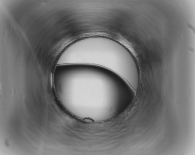X0000095900013200801110815