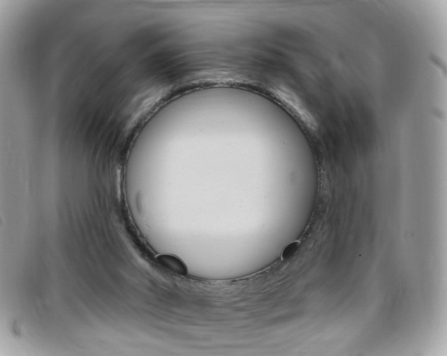 X0000095900014200801110815