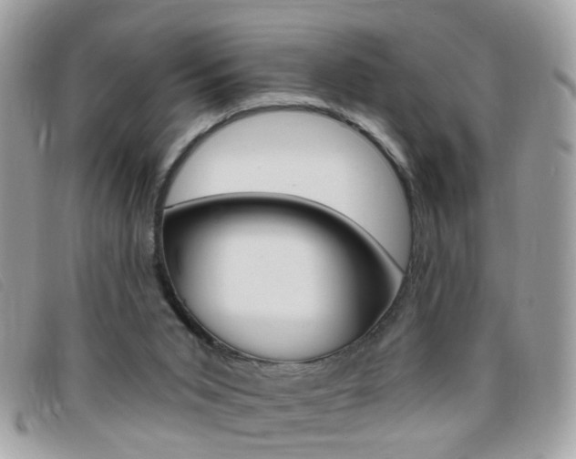 X0000095900015200801110815