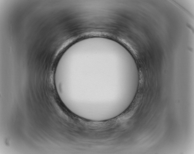 X0000095900016200801110815