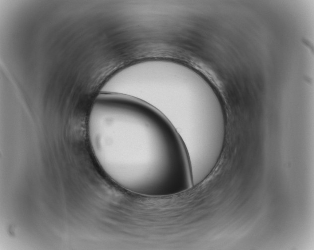 X0000095900017200801110815