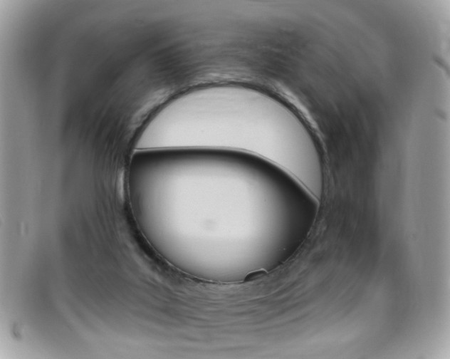 X0000095900019200801110815