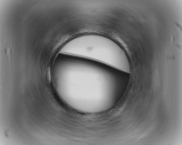X0000095900020200801110815