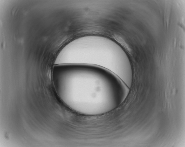 X0000095900021200801110815