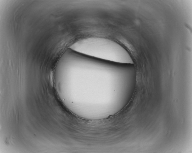 X0000095900022200801110815