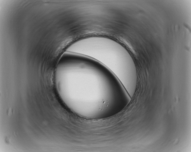 X0000095900023200801110815