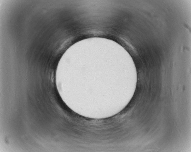 X0000095900024200801110815