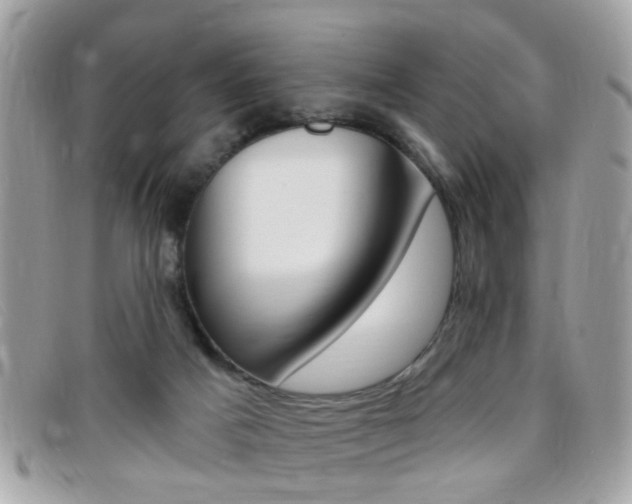 X0000095900025200801110815