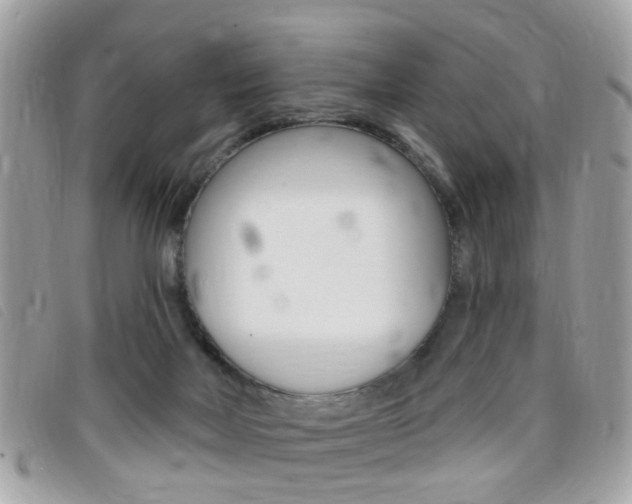 X0000095900026200801110815