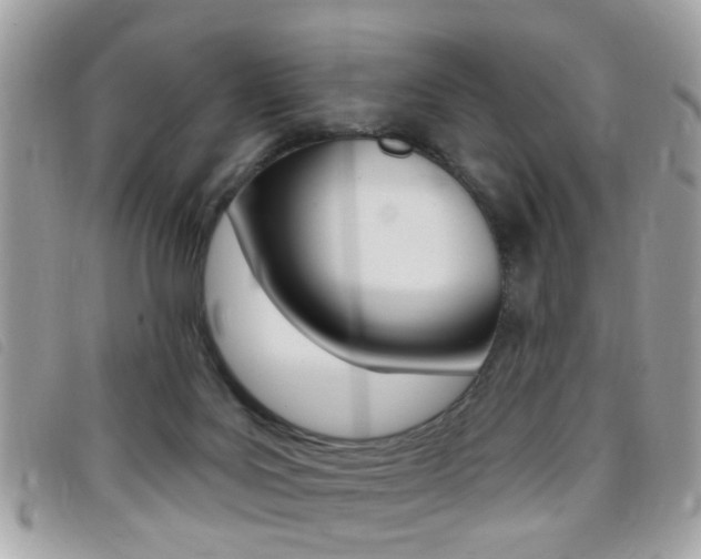 X0000095900027200801110815