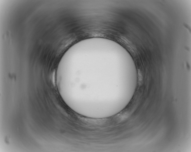 X0000095900028200801110815