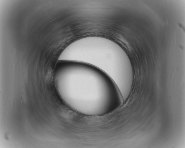 X0000095900029200801110815