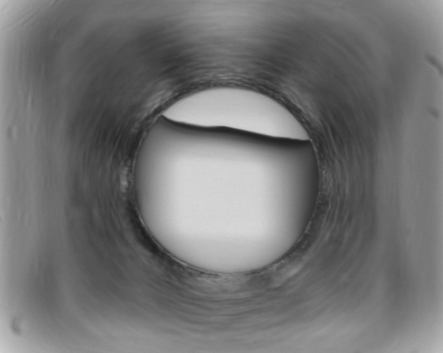 X0000095900032200801110815