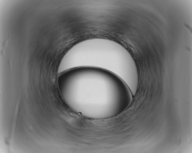 X0000095900033200801110815