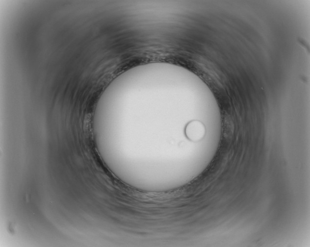 X0000095900034200801110815