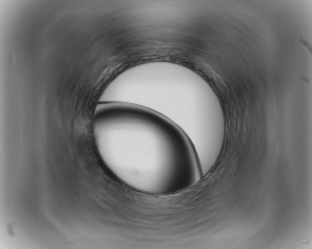 X0000095900035200801110815