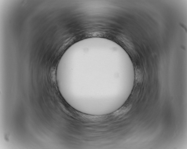 X0000095900036200801110815