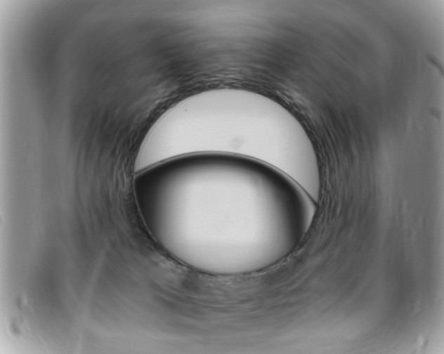 X0000095900037200801110815