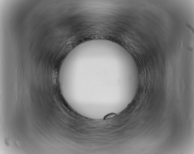 X0000095900038200801110815