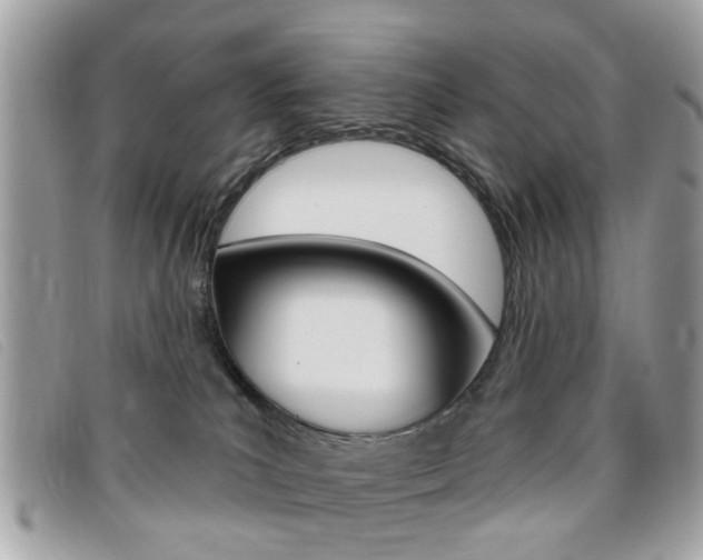 X0000095900039200801110815