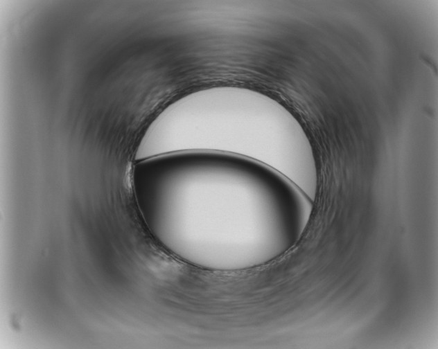 X0000095900041200801110815