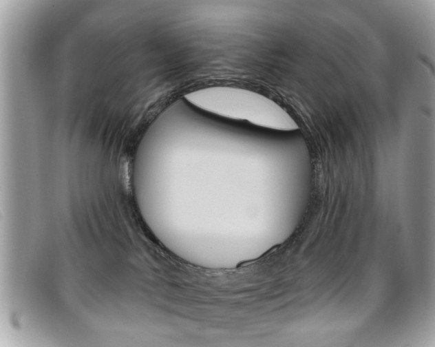 X0000095900042200801110815