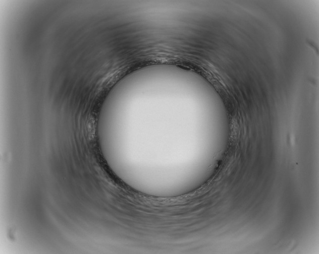 X0000095900043200801110815